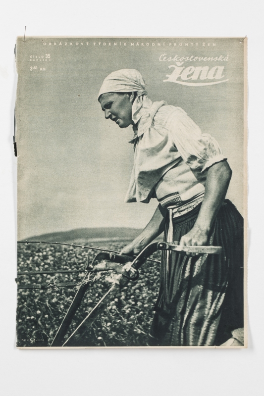 Žena za pluhem